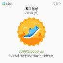 무등산PC 네이버블로그