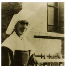 완월동113 이미지