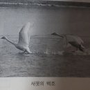 슬항1리 이미지