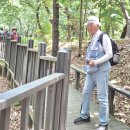 해뜨는 집 이미지