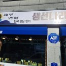 생선나라단비