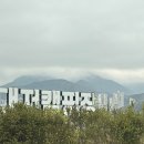 대저캠핑장 이미지
