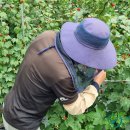 태암농장 이미지