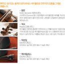 바네스(VANESSE) 이미지