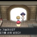 미르체육관 이미지