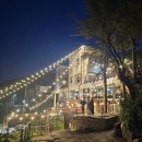 거북애견 | 남양주 애견동반 맛집, 대디스바베큐 재방문 후기