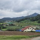 팔봉초등학교 이미지