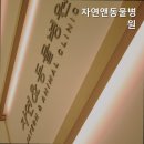 자연앤동물병원 이미지