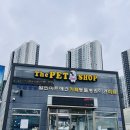 더샵 동물병원 이미지