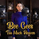 Too Much Heaven - Bee Gees 이미지