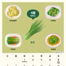 성산필내과의원 이미지