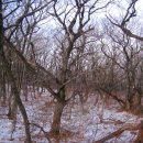 대공산성 등산로 이미지