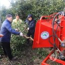 신효동-31 이미지