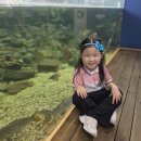 [🌸물푸레반🌸] 🌊 바다 프로젝트 현장활동 – 연어를 만나러 태화강생태관에 다녀왔어요! 🐟 이미지