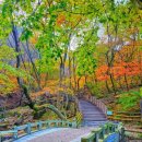 한마음노인복지센타 | 장기요양기관 지정 대면 심사위원회 갱신신고서 건강진단서 의사진단서 한마음노인복지센터