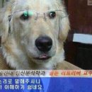 574 | 아이유 언니 손민수했던 뉴발란스 574 레거시 착용 후기