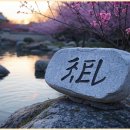 이엘메디 이미지