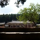 옥천사
