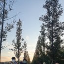 (주)우남매야