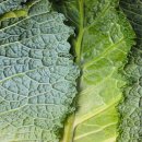 문산읍사무소 내 이미지