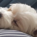 가람지압안마원 이미지