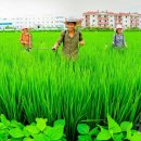 원화농장 이미지