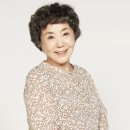 이도은 카카오 검색결과