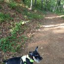 미단중앙로 이미지