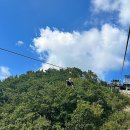 하동코리아짚와이어 이미지