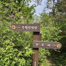 초암산주차장 이미지