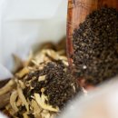 바른몸한의원 이미지