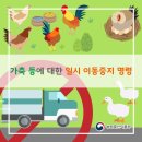 강원 강릉 돼지농장 아프리카돼지열병, 충남 천안 가금농장 고병원성 조류인플루엔자 발생에 따라 방역관리 강화 이미지