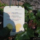 향산다개로 이미지