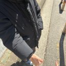 가이상사 | [3월 일기] ② - 생일 파티, 신정 닭발, 재즈 라이브 공연, 사우나, 요새 먹는 간식