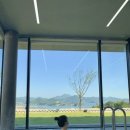 정글돔풀빌라앤글램핑 이미지