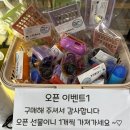 개좋다냥 이미지