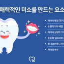 보일치과 네이버블로그