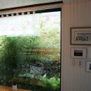 리케이온 이미지