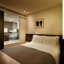 세이스테이 이미지