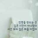 오늘의 한 줄 명언 이미지