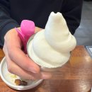 이천 증포동 맛집 무한리필 고기싸롱