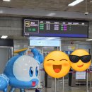 사천공항 | 사천공항, 섬에어 사천-김포 탑승 솔직후기