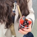 파아란식품 | 맛집털이12-일본여행