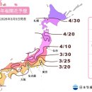 주식회사 벚꽃