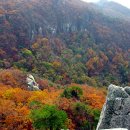 단풍약국 이미지