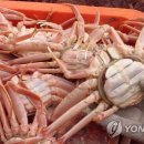 동해-단속-13 이미지