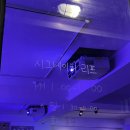 시그네이처리프