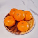 (주)리더그린 | 천혜향 레드향 차이 비오그린팜 천혜향 선물세트 3kg 가격 당도 후기