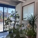 파우제(PAUSE) | 아야진 해변 맛집 | 카페 파우제, Pause - 샌드위치 처돌이의 고성카페 추천 솔직후기