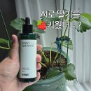 식물 자동급수 그린팜 | AI와 딸기 키우기, 레이니샤워 고농축 식물영양제 사용 후기와 식물자동급수 필요성